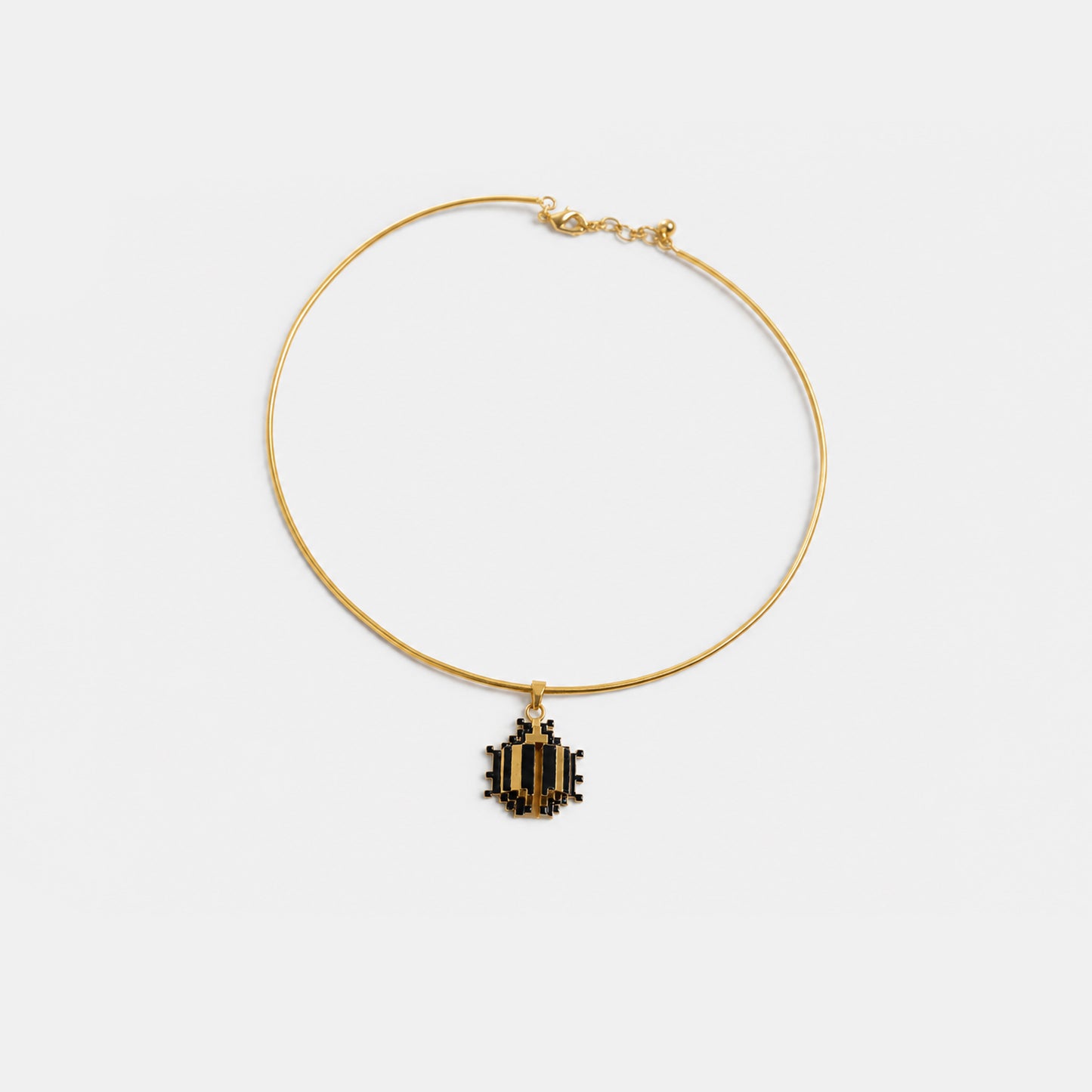 Beetles Hasli